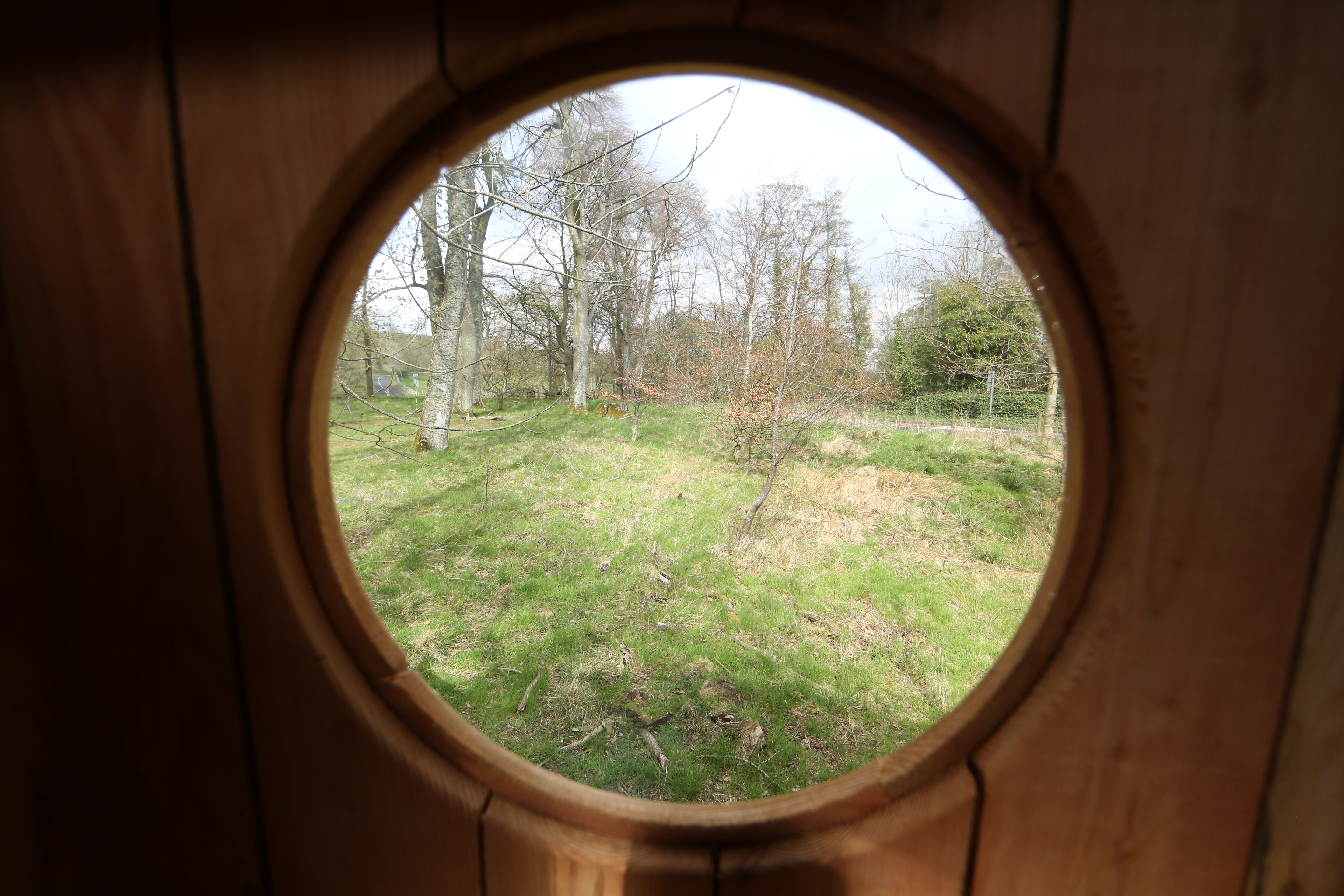 Woodland Classroom view to the woodland